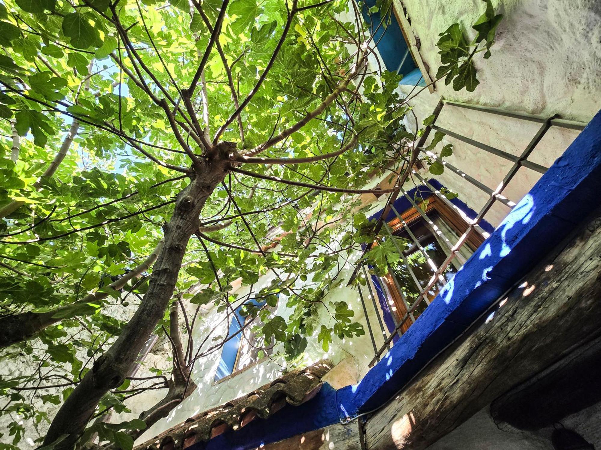 Casas Rurales La Tejeruela Yeste Bagian luar foto